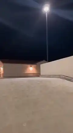 white dog running with lightning bolt