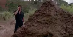 That is one big pile of shit