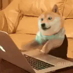 Doge typing on laptop