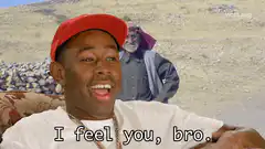 Tyler the Creator feels you bro
