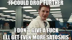 It Could Drop Further I'll Get Even More Satoshis