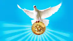 white dove holding bitcoin
