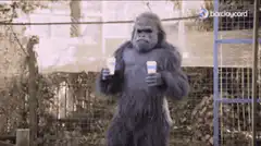 gorilla holding two cups