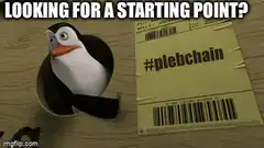 Penguin looking for starting point plebchain