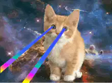 kitty laser eyes space