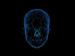 Rotating wireframe head