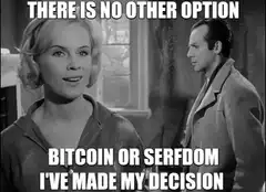 There is no other option Bitcoin or serfdom