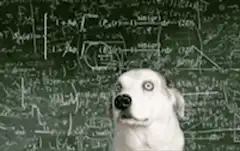 Confused Dog Math Chalkboard