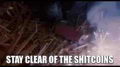 Ewok eats firework stays clear of shitcoins