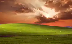 Bliss wallpaper with bitcoin explosion