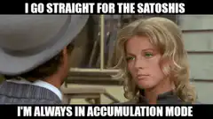 I Go Straight For The Satoshis