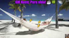 Couple relaxing in hammock on beach