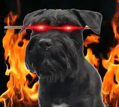 Dog with laser eyes in flames