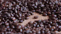 Single coffee bean on wood