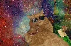 Space Cat with Wine and Sunglasses