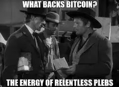 What backs Bitcoin the energy of relentless plebs