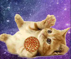 pizza cat in space