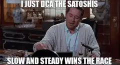 I Just DCA the Satoshis Slow and Steady Wins the Race