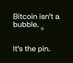 Bitcoin isn't a bubble It's the pin