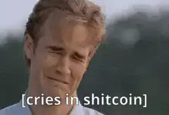 cries in shitcoin