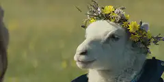 Lamb with flower crown