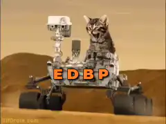 Cat on Mars Rover with Bitcoin