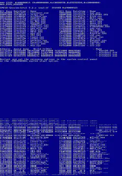 Blue Screen of Death with file listing