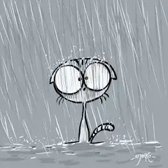 Sad cat in the rain