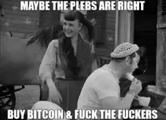Maybe the Plebs Are Right Buy Bitcoin