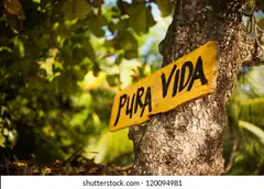 Pura Vida sign on tree