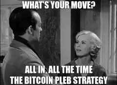 What's Your Move All In Bitcoin Pleb Strategy