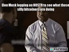 Elon Musk logging on NOSTR to see what those silly bitcoiners are doing
