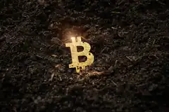 Golden Bitcoin symbol in soil