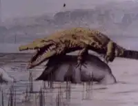 crocodile jumps on ostrich
