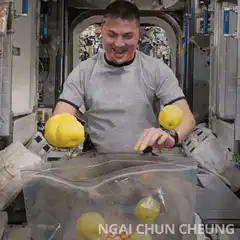 astronaut juggling lemons and pizza