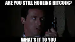 What's it to you Bitcoin hodling