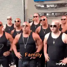 Family meme with Vin Diesel