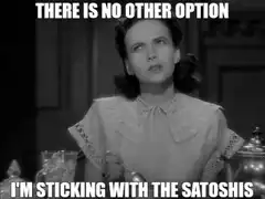 There Is No Other Option I'm Sticking With The Satoshis