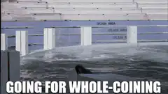 Orca Splash Area Whole-Coining