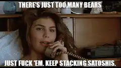 There's just too many bears keep stacking satoshis