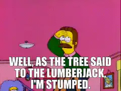 Ned Flanders I'm Stumped