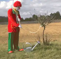 clown watering tree with hose