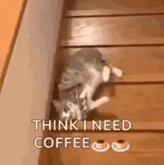 cat rolling on stairs think i need coffee
