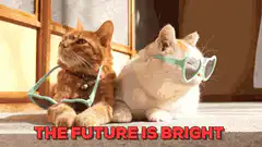 Two cats with sunglasses the future is bright