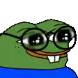 Nerd Frog Glasses Adjust