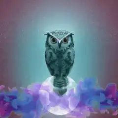 Owl on crystal ball with smoke