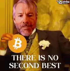 Michael Saylor Bitcoin There Is No Second Best