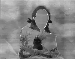 Silhouette with woman inside