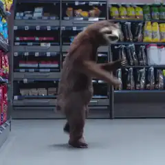 Sloth dancing in supermarket