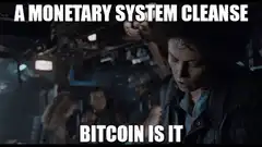 A Monetary System Cleanse Bitcoin Is It